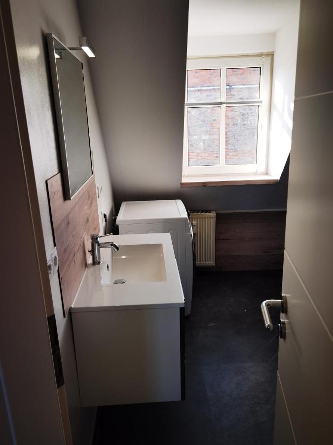 Apartment Gemuetliche Dachwohnung Mit Kleiner Oder Grosser Dachterrasse Nebeneinander